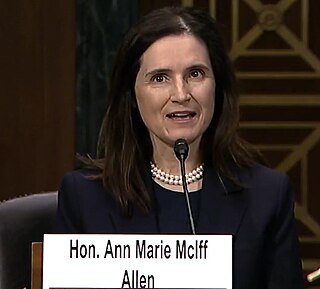 <span class="mw-page-title-main">Ann Marie McIff Allen</span> American judge (born 1972)