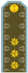 Baş leytenant poqonu (Azərbaycan Hərbi Hava Qüvvələri) (1991–1999)