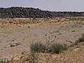 wikimedia_commons=File:Azraq rock art ridge.jpg