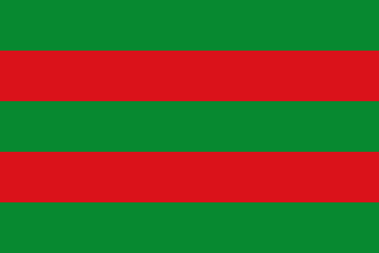 File:BanderaTorrelavega-Cantabria.svg