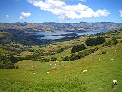 Blick auf die Akaroa Bay (Banks Peninsula)