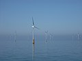 Ein Offshore-Windpark: Die Windräder erzeugen elektrischen Strom