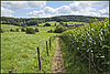 Countryside in South Limburg