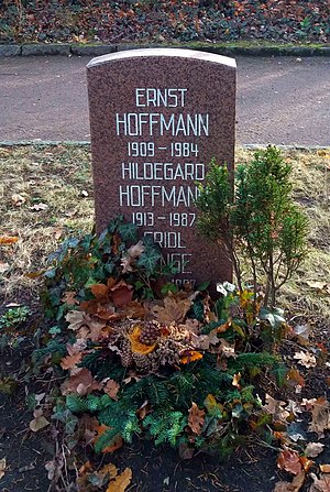 Politiker Ernst Hoffmann: Leben, Auszeichnungen, Literatur