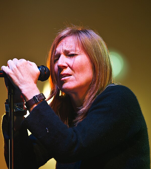 Gibbons at Roskilde Festival 2011