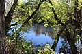 Suwannee River