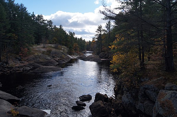 Typical landscape of the Canadian Shield at Queen Elizabeth II Wildlands Provincial Park, located in Central Ontario.