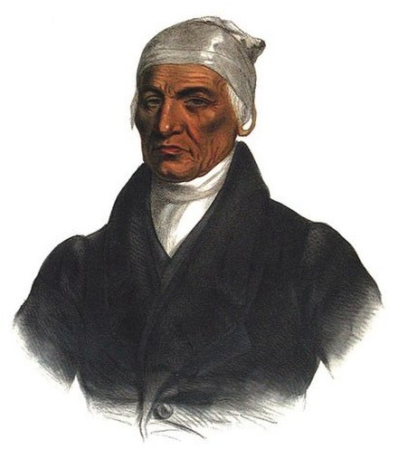 Black Hoof (Catecahassa) emerged in the 1790s as the principal spokesman for the Ohio Shawnees. Most Shawnees followed his lead rather than Tecumseh's