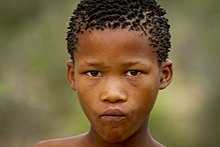 The Khoisan and some other African groups have a high frequency of the epicanthic fold. Bosquimanos-Grassland Bushmen Lodge, Botswana 03.jpg