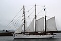 Brest 2012 Marité 580.JPG