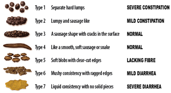 Stool Scale Chart