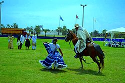 Peruvian Paso contest