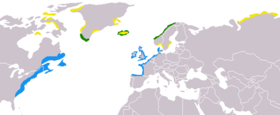 Calidris maritima map.png