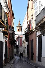 Miniatura para Calle Francos (Jerez de la Frontera)