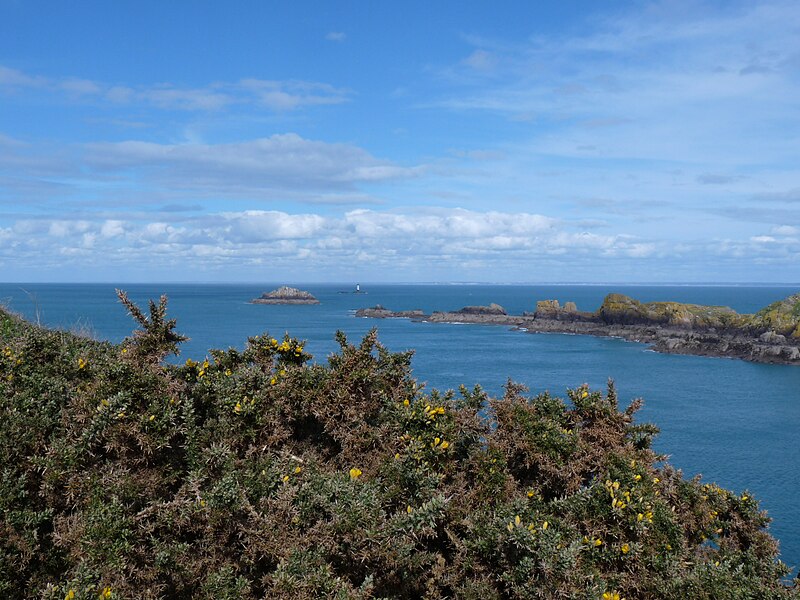 File:Cancale (35) Île des Landes - 04.jpg