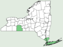 Carex abscondita NY-dist-map.png
