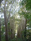 Vignette pour Zone agricole de Carrières-sous-Bois-Les Flageaux