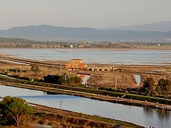 Riserva naturale Diaccia Botrona