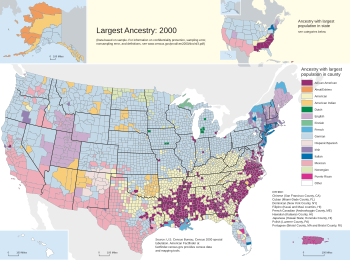 Angelsaksyske Amerikanen