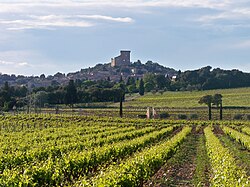 Chateauneuf du Pape, Etelä -Ranska (7179088644) .jpg