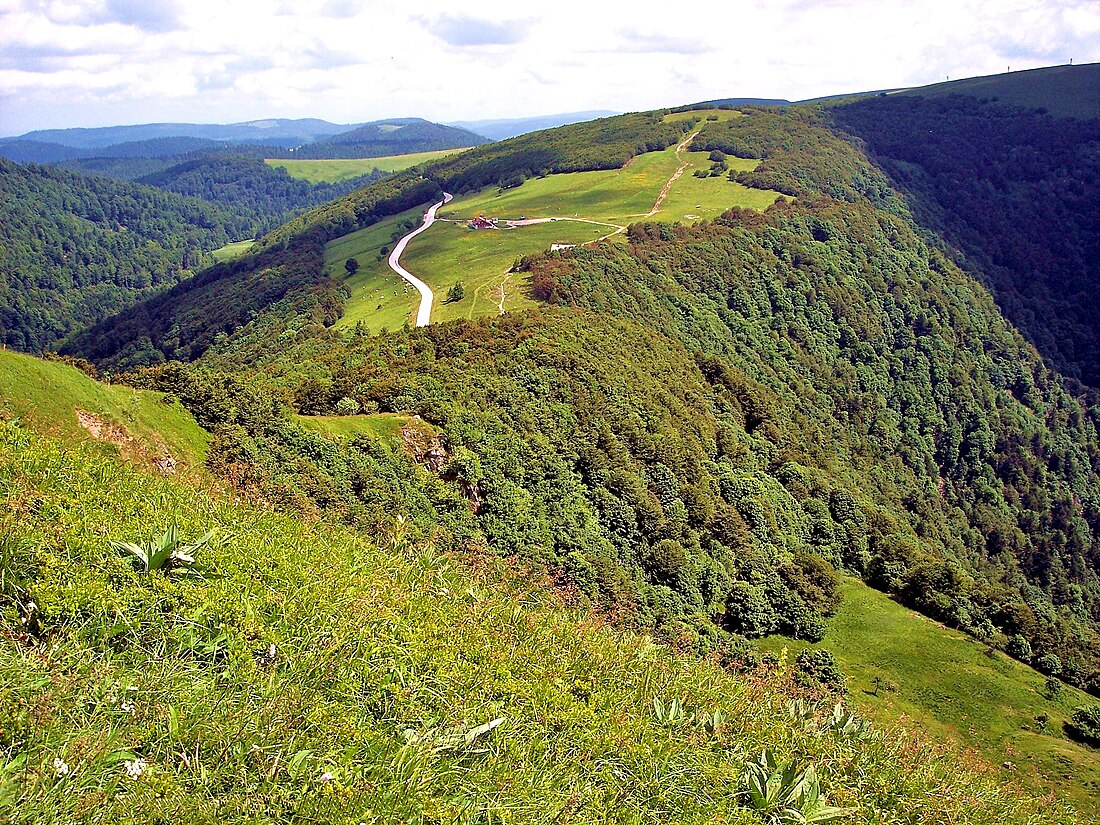 Vosges (departement)