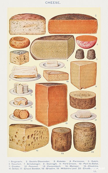 File:Cheeses. Gorgonzola Double Gloucester Koboko Parmesan Dutch Roquefort Schabziger Dunragit York Cream Port du Salut Cheddar Pommel Camembert Mainzer Cheshire Stilton Cream Bondon Gruyere Wiltshire Loaf Cheddar Loaf Mrs. Beeton Household.jpg