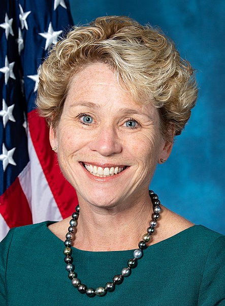 File:Chrissy Houlahan, official portrait, 116th Congress (cropped).jpg