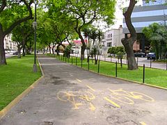 Av. Salaverry bisiklet yolunun görünümü.