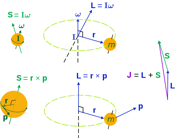 Angular momenta of a classical object.Left: "spin" angular momentum S is really orbital angular momentum of the object at every point.Right: extrinsic orbital angular momentum L about an axis.Top: the moment of inertia tensor I and angular velocity ω (L is not always parallel to ω).[32]Bottom: momentum p and its radial position r from the axis. The total angular momentum (spin plus orbital) is J. For a quantum particle the interpretations are different; particle spin does not have the above interpretation.