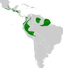 Clibanornis rubiginosus map.svg