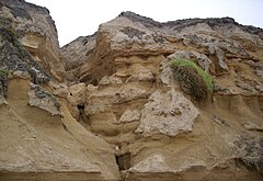 Cliffs of Half Moon Bay