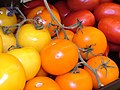 Colorful red, yellow, and orange cherry tomatoes