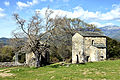 Église San Giovanni Battista de Corte