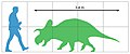 於 2018年11月13日 (二) 14:50 版本的縮圖