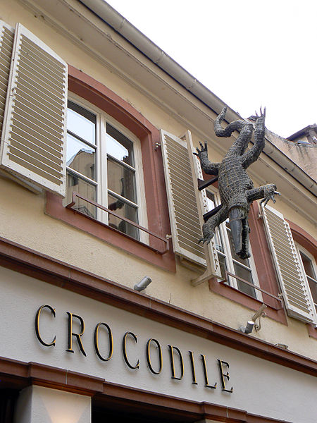 File:Crocodile (3998111189).jpg