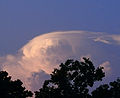 Cumulonimbus pileus