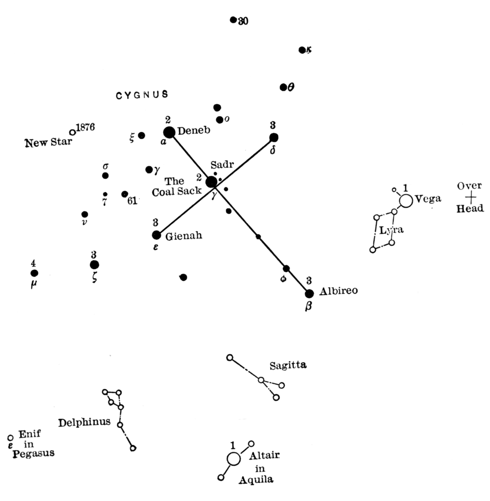 The constellation Cygnus with it's major stars labelled.