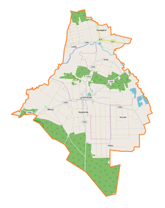 Mapa konturowa gminy Czemierniki, w centrum znajduje się punkt z opisem „Czemierniki”