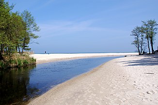 The Piaśnica near Dębki