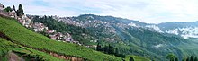 Darjeeling.jpg