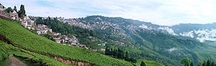 Darjeeling: Zità te l'India