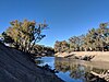 Darling River at Toorale NP.jpg