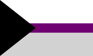The demisexual flag, in which the black chevron represents asexuality, gray represents gray asexuality and demisexuality, white represents sexuality, and purple represents community.[28]