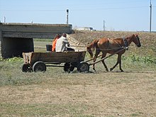 Foto mostrando um cavalo puxando uma carroça com duas pessoas dentro