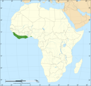 Répartition du mamba vert de l'Ouest.