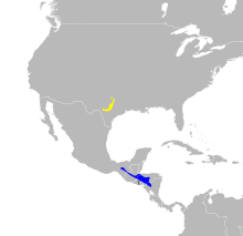 Dendroica хризопариясы map.svg