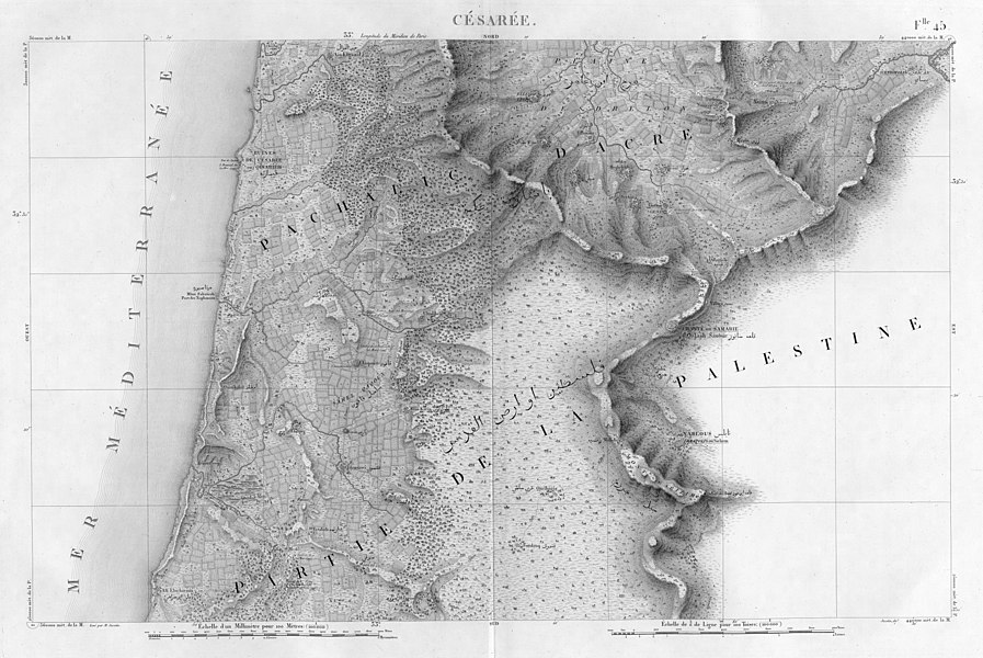 Flle.45 - Cérarée