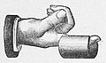 Die Gartenlaube (1885) b 104_2.jpg Das Hypnoskop Bild 2.