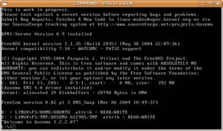 DOSEMU DOS compatibility layer for Linux