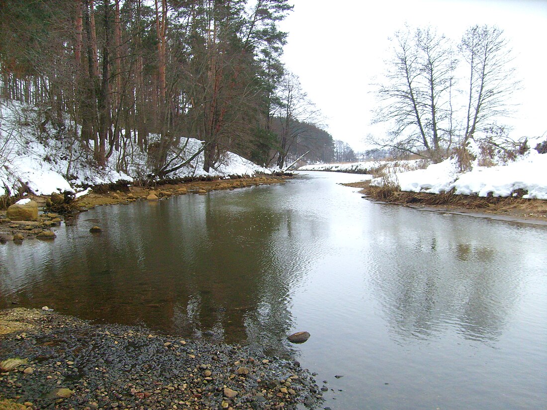 File:Drut River.jpg